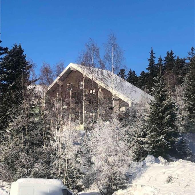 Residence Les Martinets, Grand Studio Vue Degagee, 4 Couchages, Cellier, Meuble De Tourisme 3 Etoiles, Parking Gratuit Chamrousse Dış mekan fotoğraf