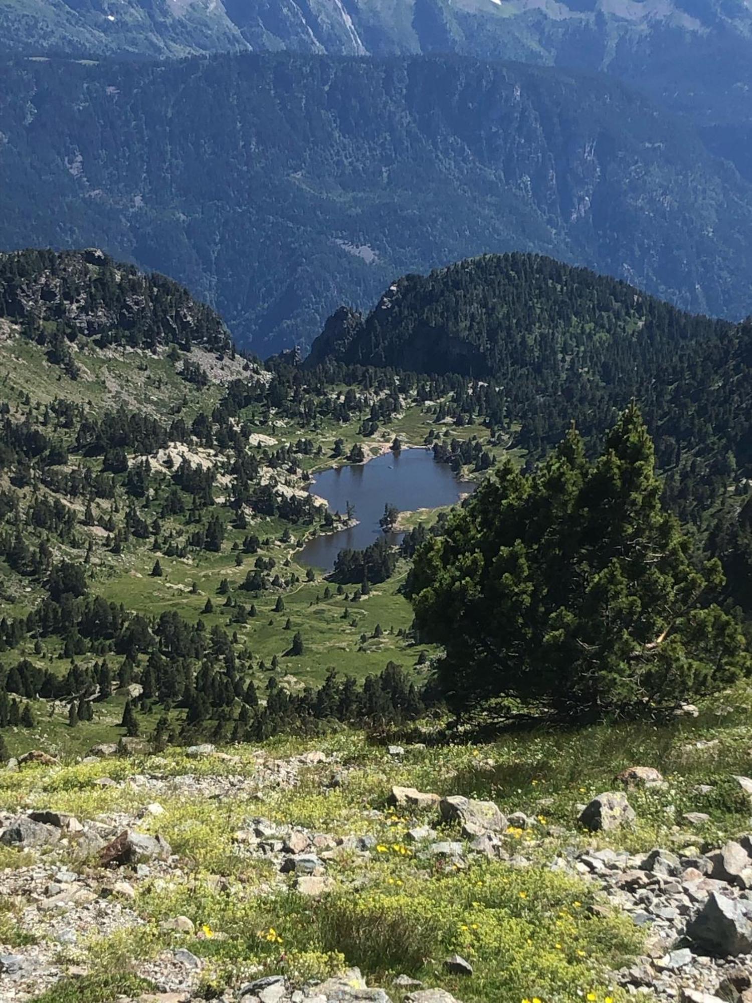 Residence Les Martinets, Grand Studio Vue Degagee, 4 Couchages, Cellier, Meuble De Tourisme 3 Etoiles, Parking Gratuit Chamrousse Dış mekan fotoğraf